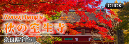 【秋】秋の室生寺