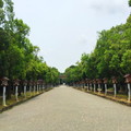 【橿原神宮】参道