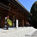 橿原菊花展（例年10月20日～11月23日開催）